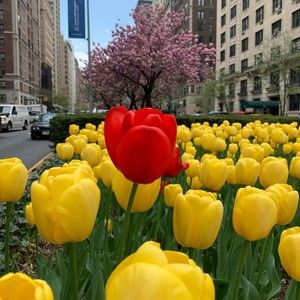 Meet your Posher, Mayetta